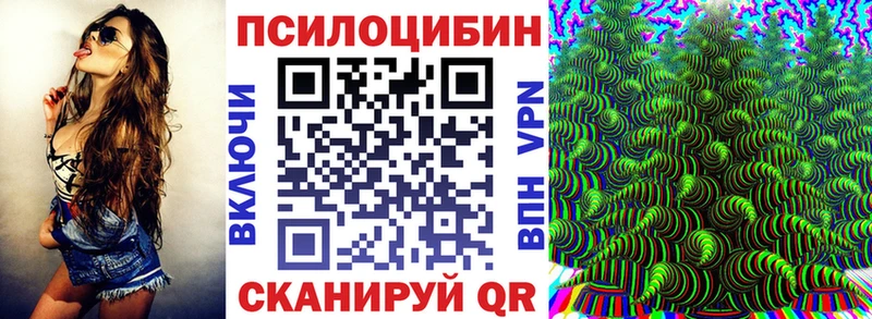 гидра ссылки  Кизилюрт  Псилоцибиновые грибы Psilocybe  закладка 